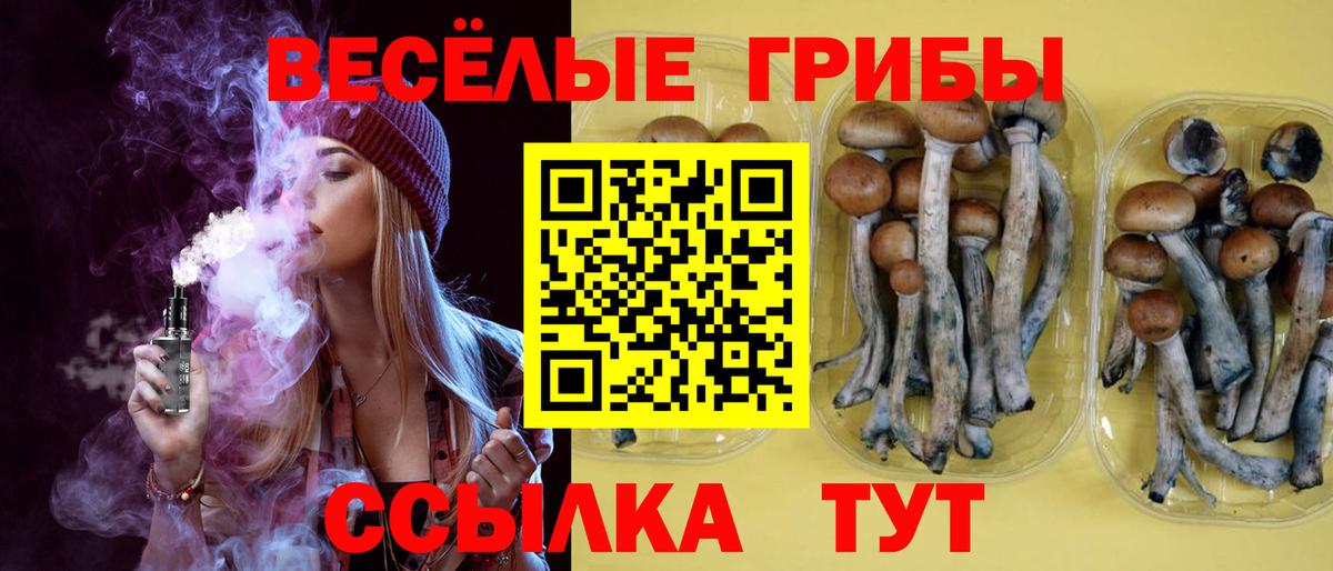 Кизилюрт  Галлюциногенные грибы прущие грибы  Вход с VPN 