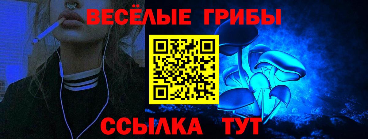 Псилоцибиновые грибы мухоморы Кизилюрт
